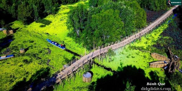 Dạo bước trên Cầu Tre Vạn Bước