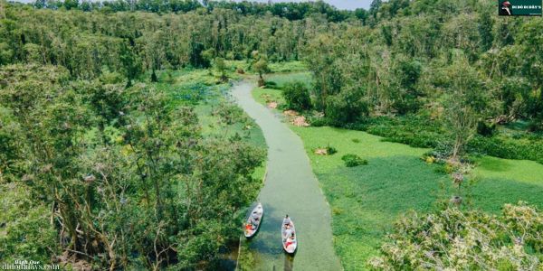 Thời Điểm Lý Tưởng Đến Tham Quan Rừng Tràm Trà Sư