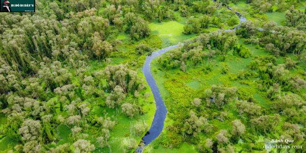  Rừng Tràm Trà Sư