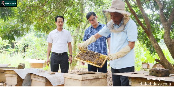 Tham quan khu nuôi ong và thưởng thức mật ong tràm