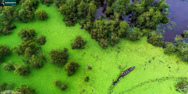 Thời Điểm Lý Tưởng Đẹp Đến Vườn Quốc Gia Tràm Chim 