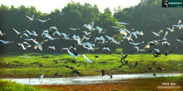 Thiên Đường Của Hơn 200 Loài Chim Nước
