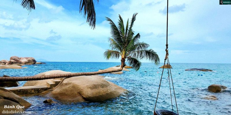 Tắm Biển Trên Đảo Hòn Sơn