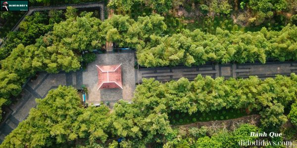 Quảng Trường Và Lối Tre Xanh