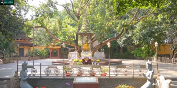 Bồ Đề Phật Cảnh