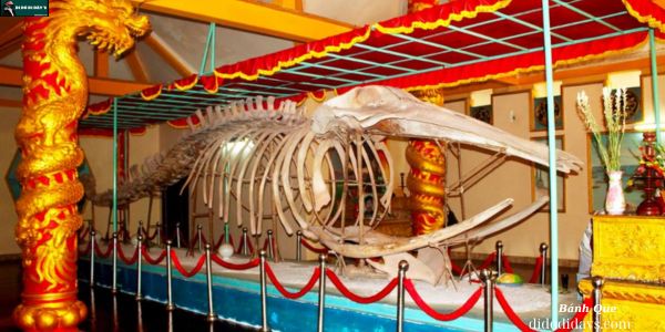 kinh-nghiem-du-lich-hon-da-bac-tai-ca-mau