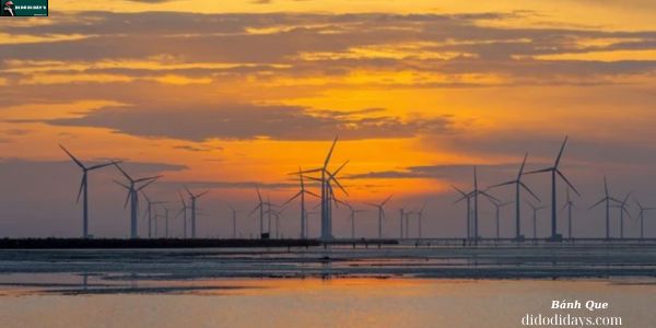 Cánh Đồng Điện Gió Tại Bạc Liêu