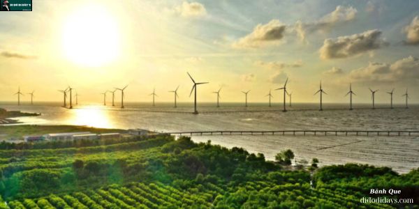 Cánh Đồng Điện Gió Tại Bạc Liêu