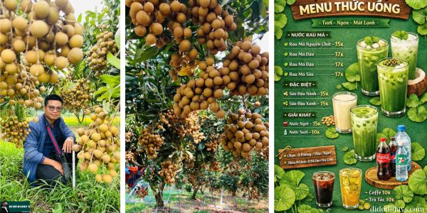 Vườn Nhãn Thành Đẳng