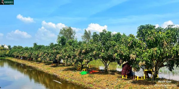 Vườn Nhãn Thành Đẳng