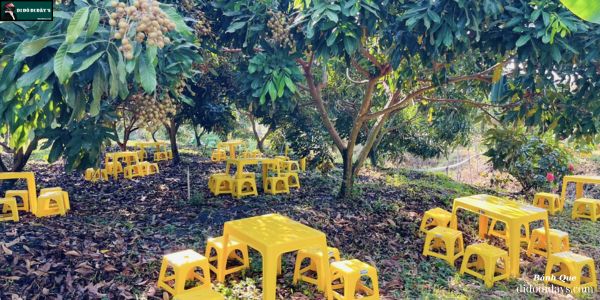 Vườn Nhãn Thành Đẳng