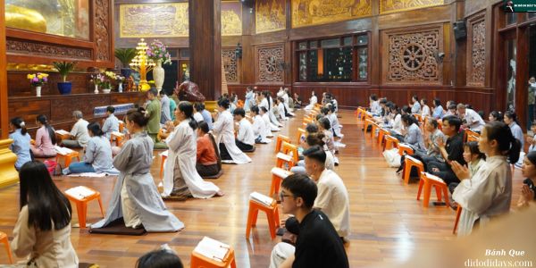 Tham gia các khóa tu ngắn hạn