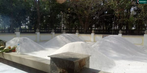 Viếng mộ Thầy Thím giữa rừng thông