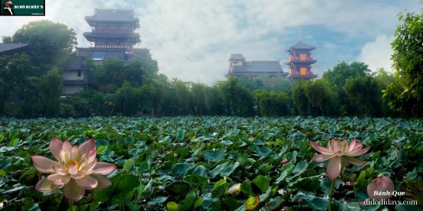 Tu Viện Khánh An hồ sen