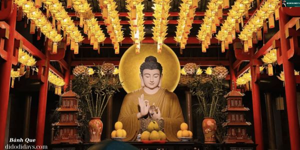  Chùa Cây Thị - Tịnh Viện Di Đà 