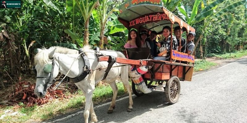 Trải nghiệm xe ngựa đường làng Cồn Phụng Cồn Thới Sơn