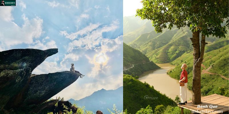 Cây táo mèo cô đơn và Mỏm đá cá heo